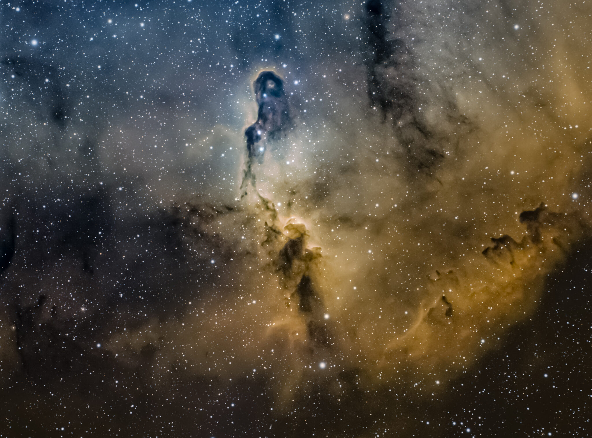 IC1396