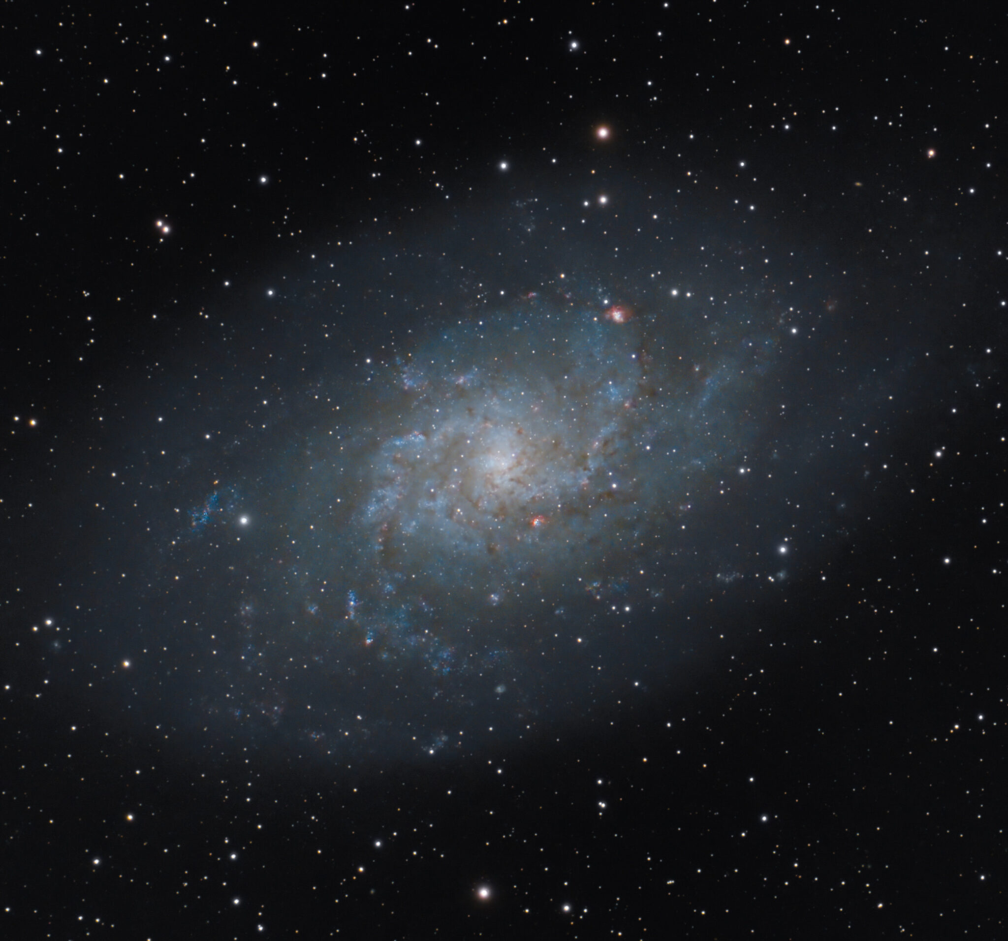 M33